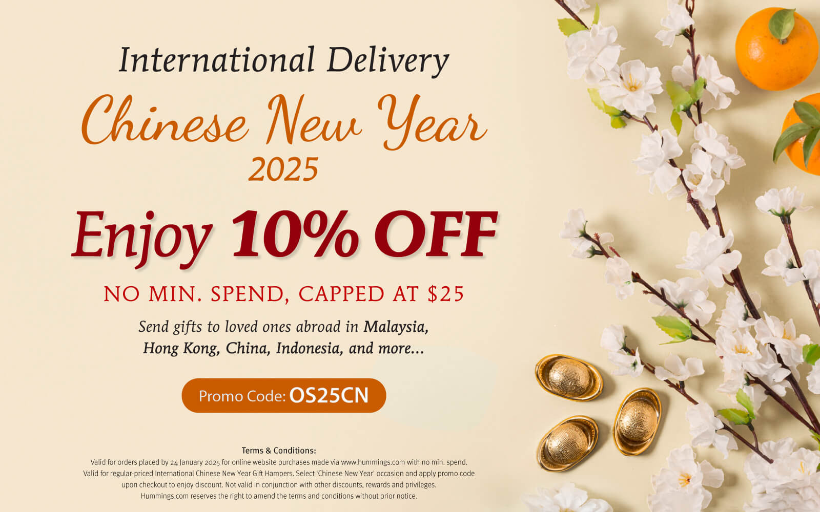 CNY INTERNATIONAL DELIVERY